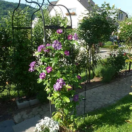 Eckstein Apartament