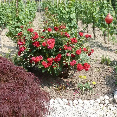 Apartment Eckstein *