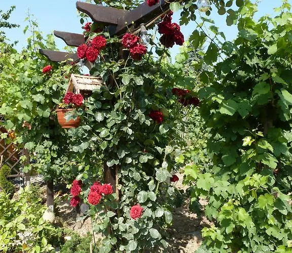 Eckstein Appartement Commune fusionnée de Bernkastel-Kues