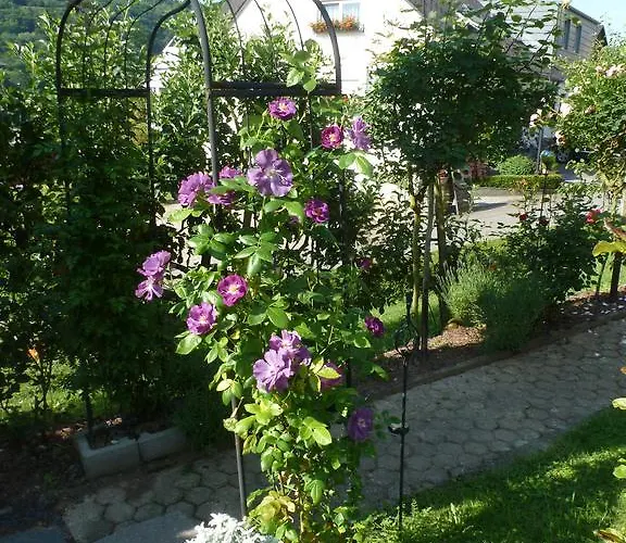 Eckstein Appartement