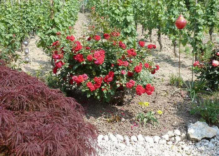 アパート Eckstein *